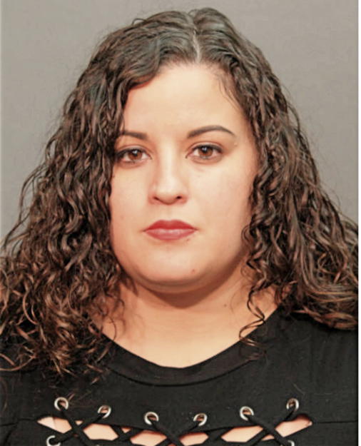 MARLENE L RIVERA, Cook County, Illinois