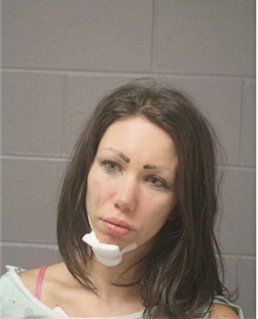 LAUREN M RODRIGUEZ, Cook County, Illinois