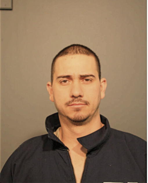 NELSON SOLIZ-VIDAL, Cook County, Illinois