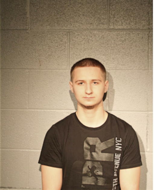 MICHAEL B USTUPSKI, Cook County, Illinois