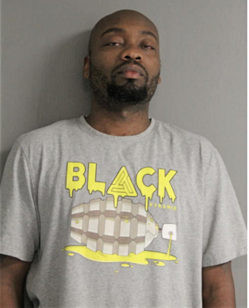MICHAEL E WILSON, Cook County, Illinois