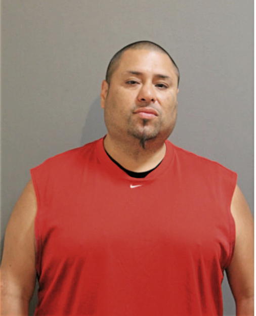 ANTHONY J ANAYA, Cook County, Illinois