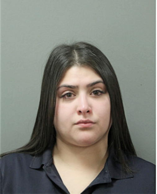 GABRIELA ARRIETA, Cook County, Illinois