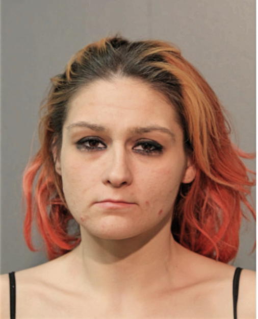 VANESSA M BEGOVICH, Cook County, Illinois