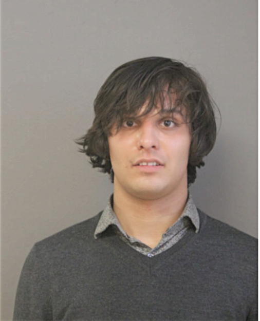 GHEORGHE BRANZO, Cook County, Illinois