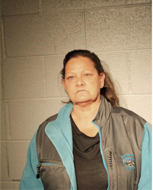CATHRINE A CALDWELL, Cook County, Illinois