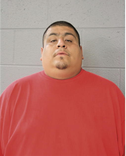 ROBERTO GARCIA, Cook County, Illinois