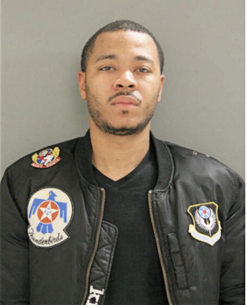 TERRANCE J GEORGE, Cook County, Illinois