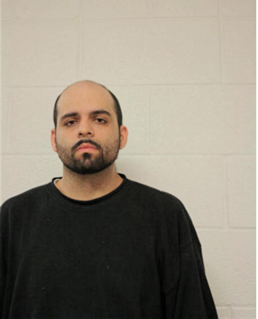 ALEXANDER A IBARRA, Cook County, Illinois