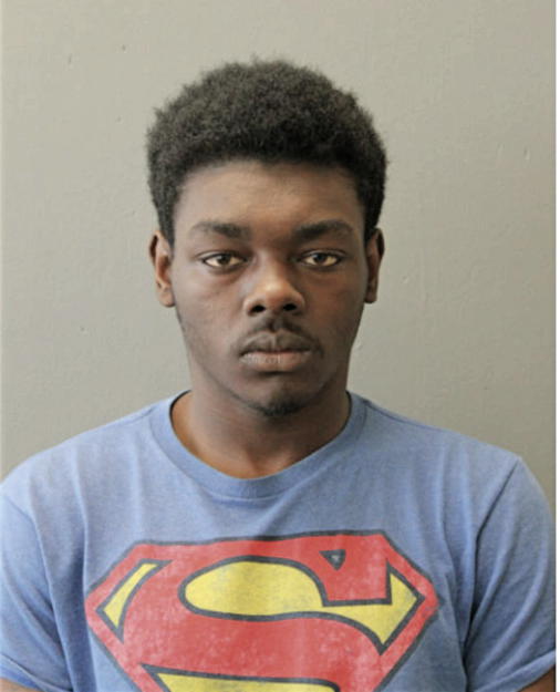 DAVID A JOHNSON, Cook County, Illinois