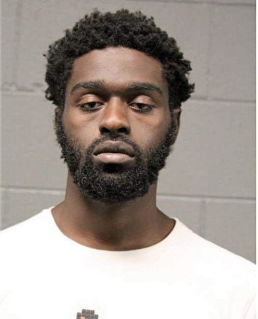 ERIC J LEWIS, Cook County, Illinois