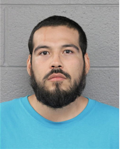 RAUL MADRIGAL, Cook County, Illinois