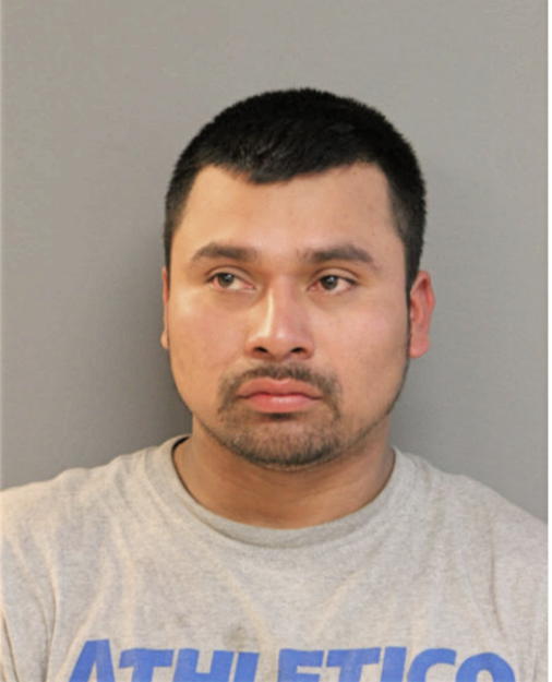 DAVID L MEJIA, Cook County, Illinois