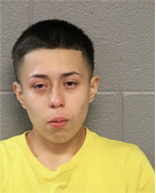 ANDREA ORTIZ, Cook County, Illinois