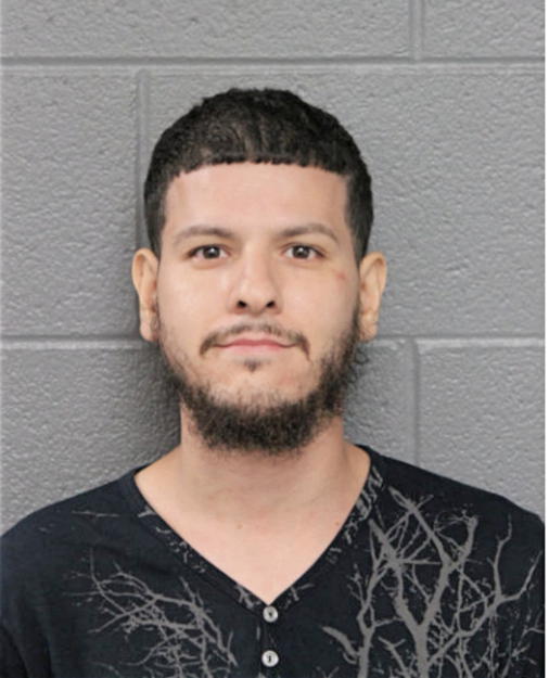DANIEL I PEREZ, Cook County, Illinois