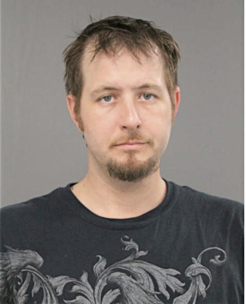 BRYAN J PFISTER, Cook County, Illinois