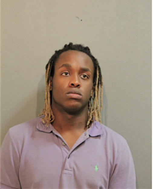 MICHAEL E PRESTON, Cook County, Illinois