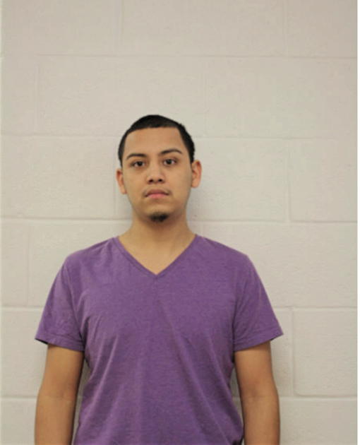 JUAN MANUEL ROMAN, Cook County, Illinois