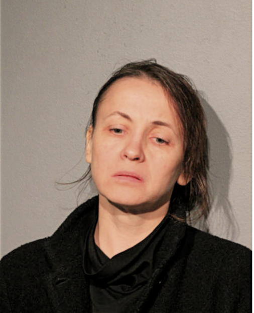 DAIVA SANDANACVICIUTE, Cook County, Illinois