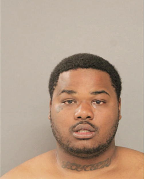 SHAQUILLE AT SANKEY, Cook County, Illinois