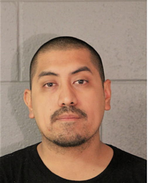 OSCAR D VALDIVIA, Cook County, Illinois
