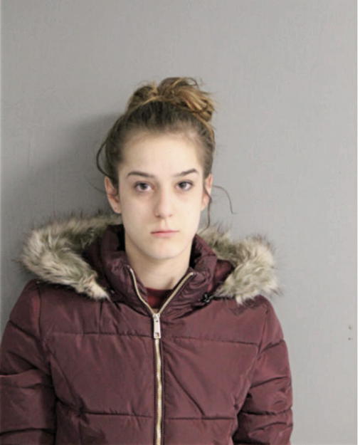 ERICA J VANDERPLOW, Cook County, Illinois