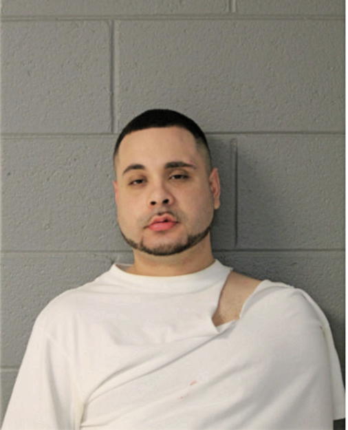 EDGAR F VILLANUEVA, Cook County, Illinois