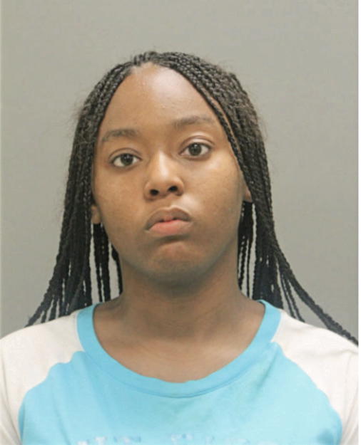 ARYIONNAH T WILLIAMS, Cook County, Illinois