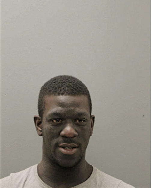 CHRISTOPHER L WILLIAMS, Cook County, Illinois