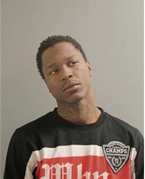 DADISI D WILLIAMS, Cook County, Illinois