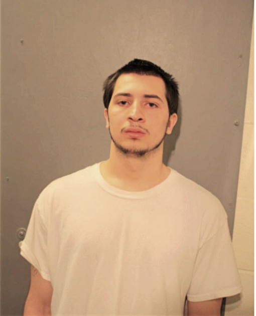 JAMES D YOUNG, Cook County, Illinois
