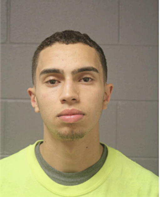 MAHMOUD A AHMAD, Cook County, Illinois