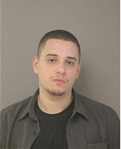NADER AHMED, Cook County, Illinois