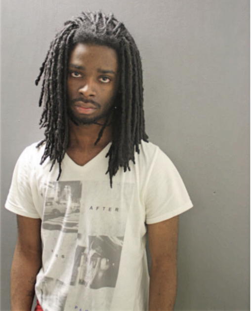 TERRELL A BARNES, Cook County, Illinois