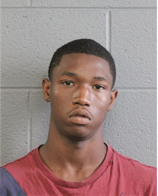 ROBERT D BAUGHNS, Cook County, Illinois