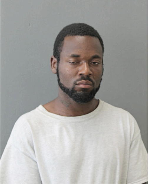 LEONARD E BERGMAN, Cook County, Illinois