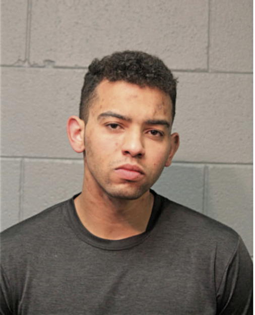 DARNELL F BLAKENEY, Cook County, Illinois