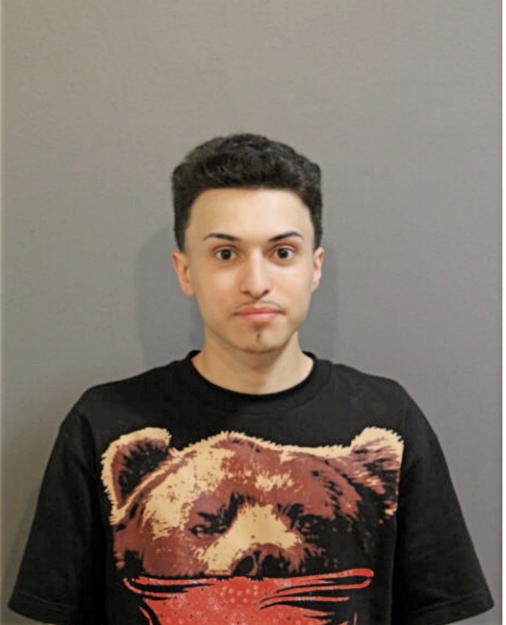 BENJAMIN A BRIZUELA, Cook County, Illinois