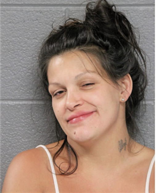 MICHELLE E BUTTERA, Cook County, Illinois