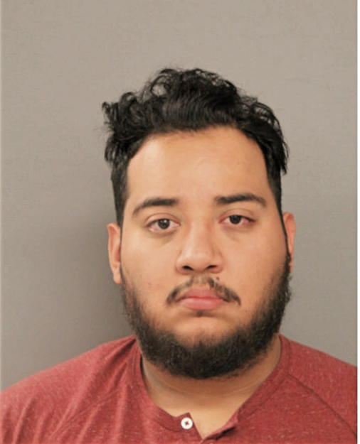 LUIS M CEJA, Cook County, Illinois