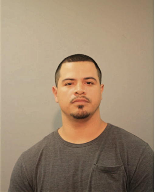 OMAR M CHAIDEZ, Cook County, Illinois