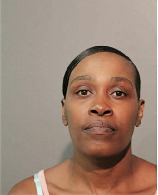 NIKKI S DAVIS, Cook County, Illinois
