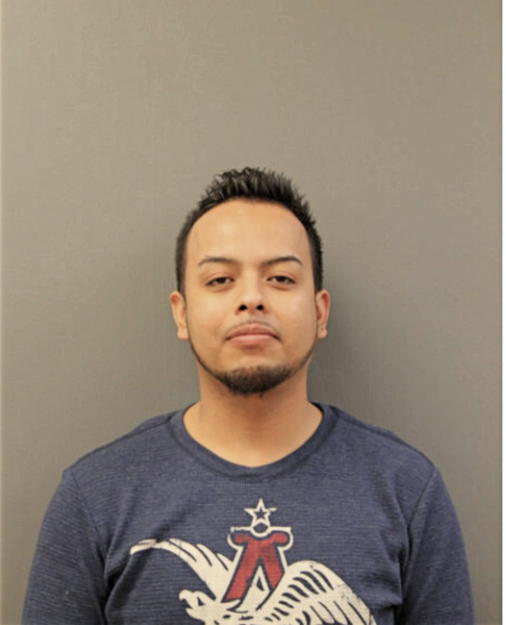 IVAN FLORES, Cook County, Illinois