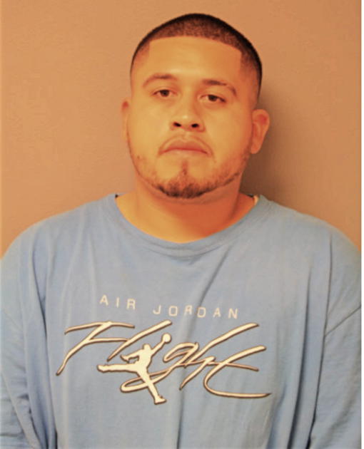 FABIAN N FRANCO, Cook County, Illinois