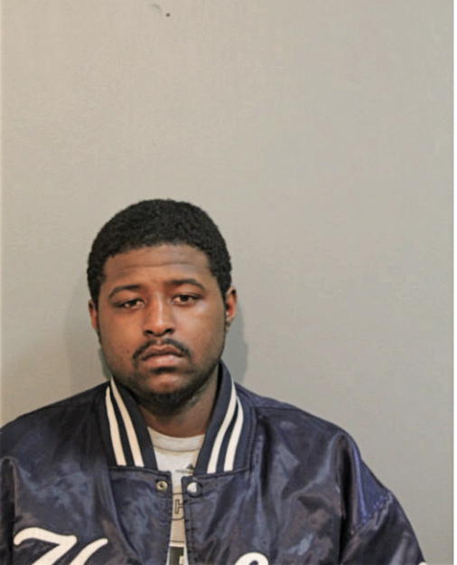 JUSTIN T HAMPTON, Cook County, Illinois