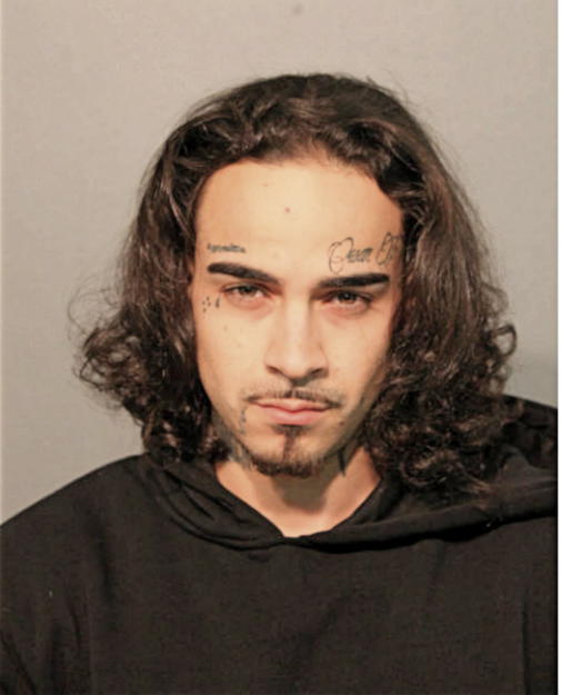 WILLIAM X HERNANDEZ, Cook County, Illinois