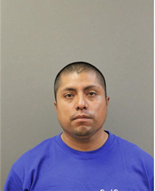 MARCELO LAGUNAS, Cook County, Illinois