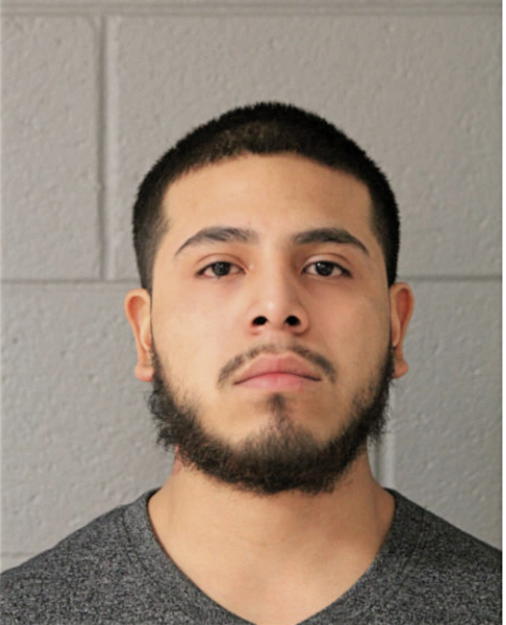 FRANCISCO LEBARIO, Cook County, Illinois