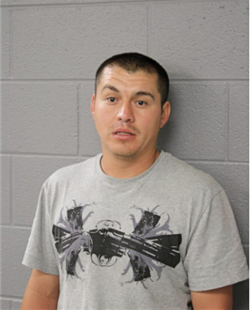 ROBERT LINARES, Cook County, Illinois