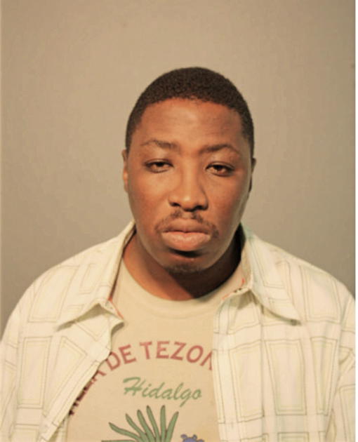 BRYAN L LITTLE, Cook County, Illinois